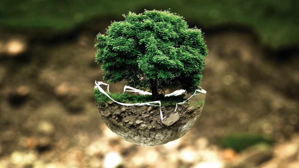 environmental-protection-683437_960_720 environmental-protection-683437_960_720